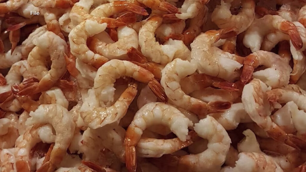 The Good News About Those “Radioactive Shrimp”