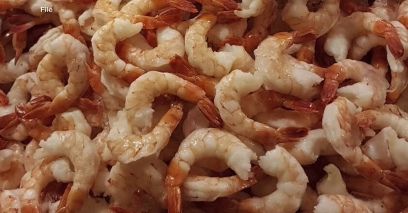 The Good News About Those “Radioactive Shrimp”