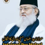 Moulana Salman Nadwi Passes Away
